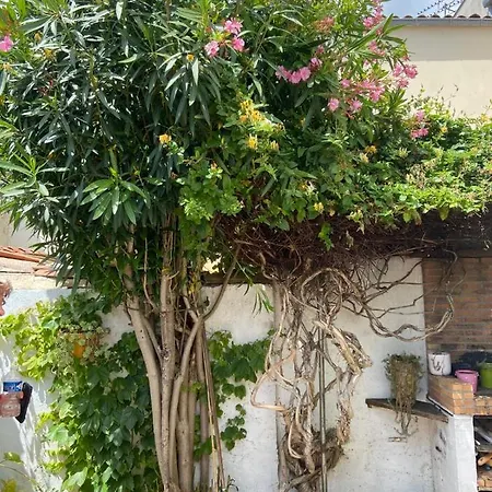 Hébergement de vacances Don Quichotte La Rochelle (Charente-Maritime)